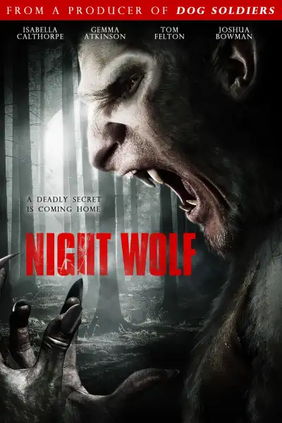 Night Wolf poster