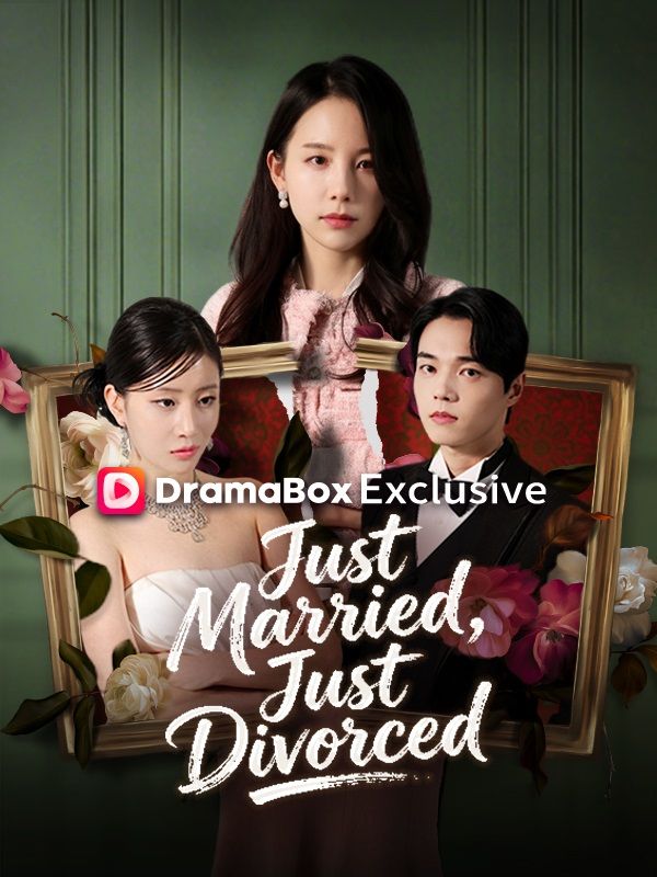 Just Married, Just Divorced poster