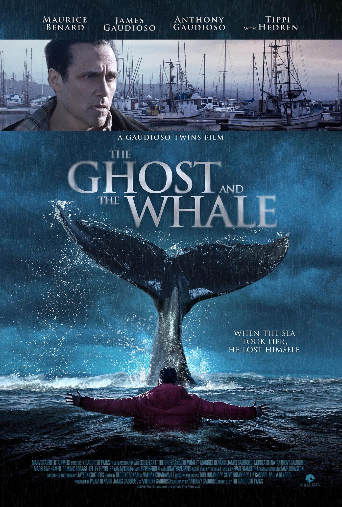 The Ghost and the Whale (2017) | Watch on Movi47