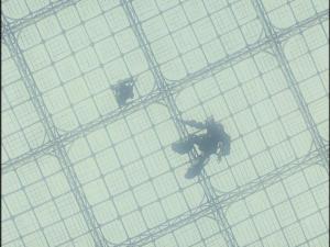 Mobile Suit Gundam 0083: Stardust Memory: The Mayfly of Space [English]