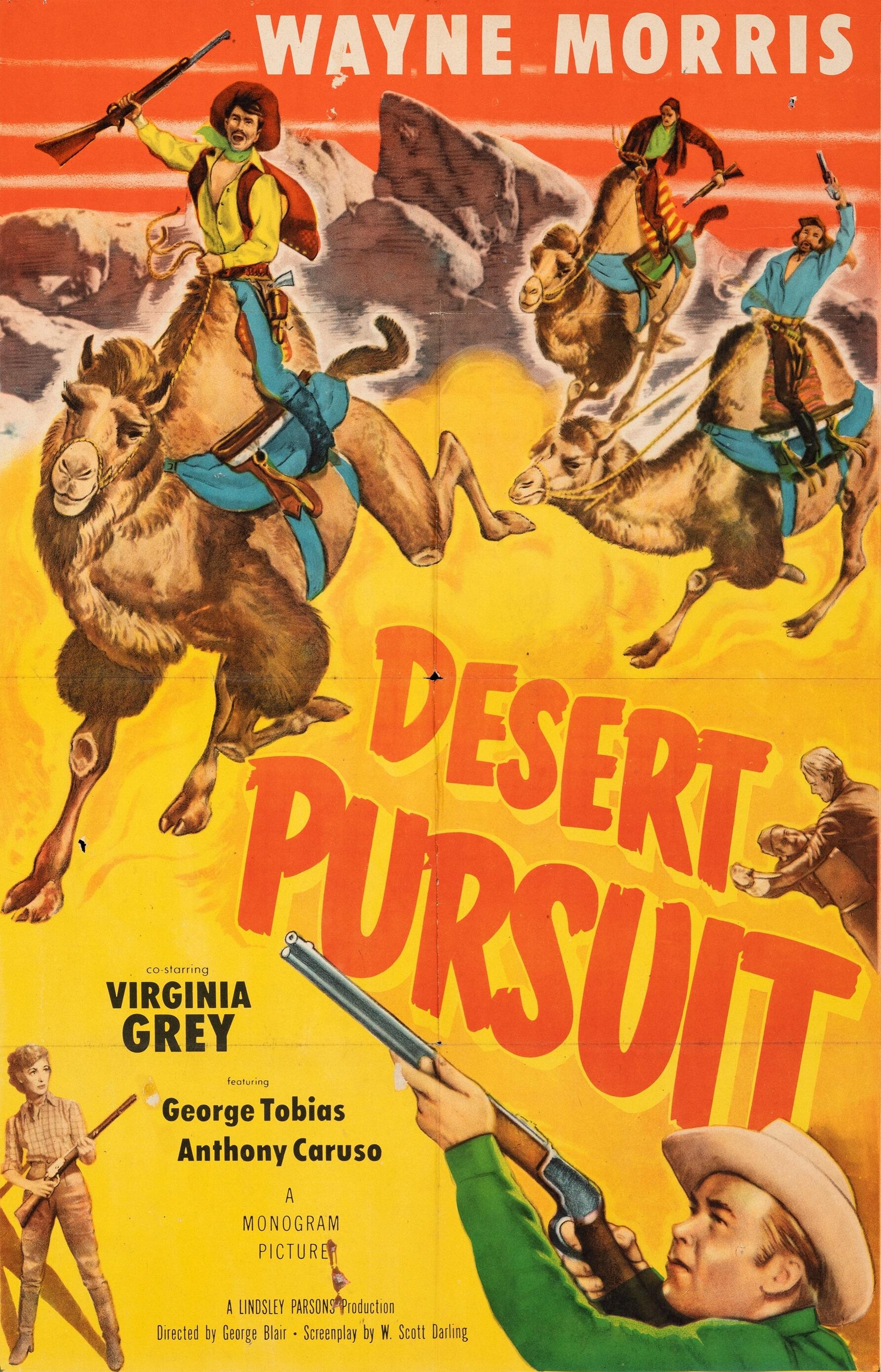 Desert Pursuit poster - similar to Man in the Saddle
