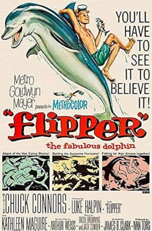 Flipper [Portuguese]
