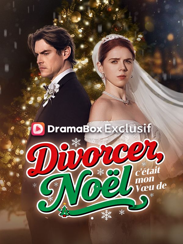 Divorcer, c'était mon Vœu de Noël poster
