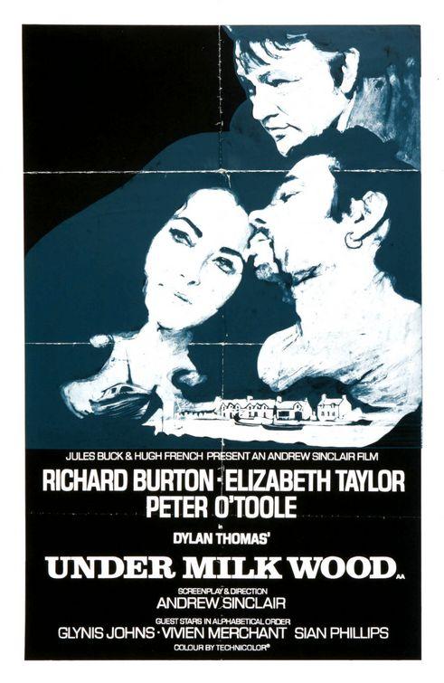 Under Milk Wood (1973) | Watch on Movi47