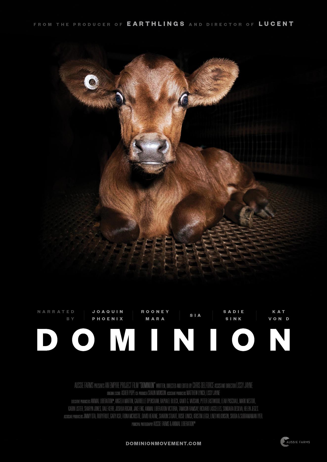 Dominion poster - similar to Missing 411