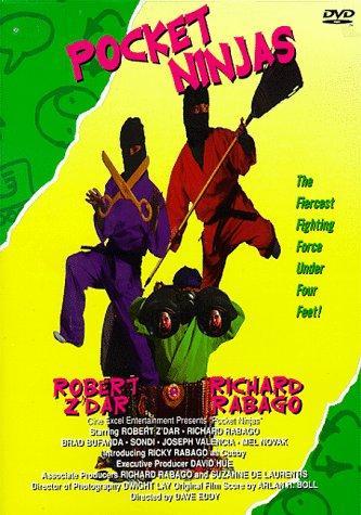 Pocket Ninjas - like Stuart Little but shorter