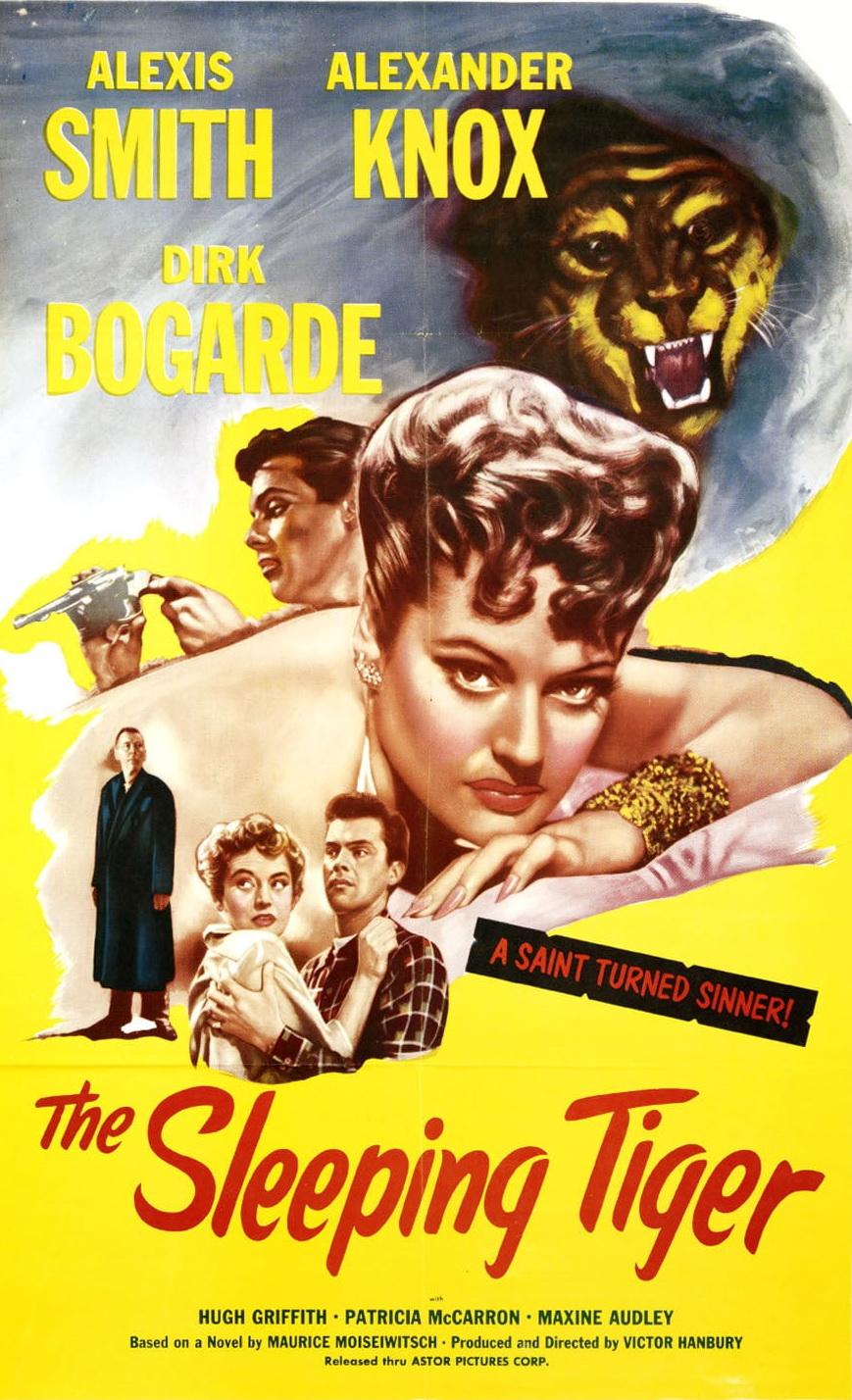 The Sleeping Tiger poster - similar to Picnic