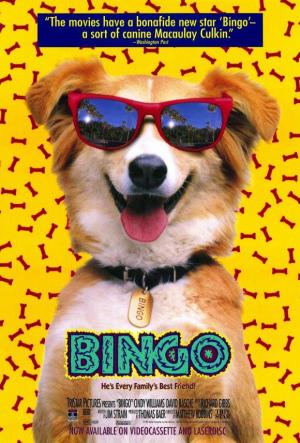 Bingo - sflix