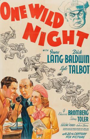 One Wild Night