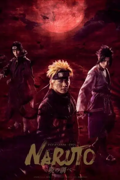 Naruto [Hindi] poster