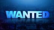 Wanted