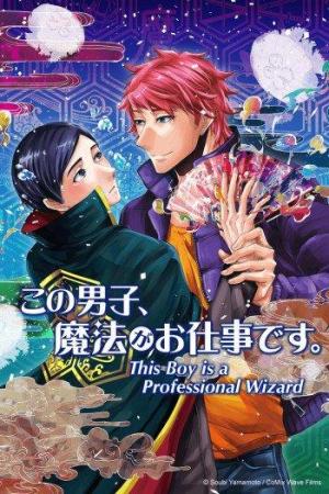 This Boy Is a Professional Wizard [English]
