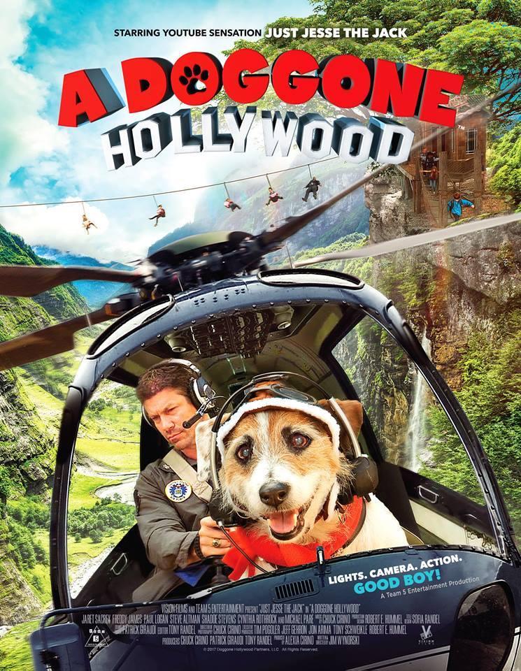 A Doggone Hollywood backdrop