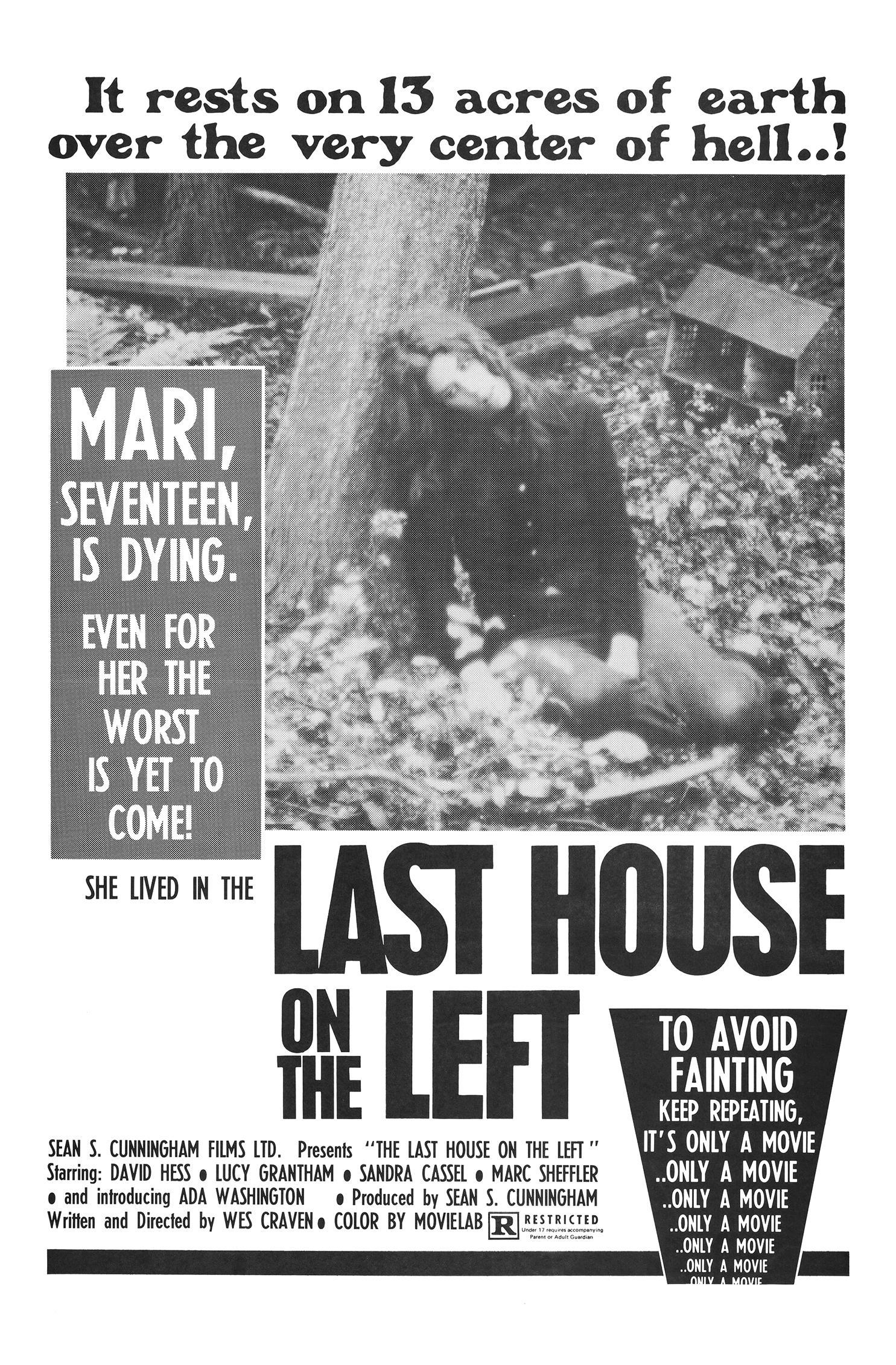 The Last House on the Left poster — similar to Rakhwala