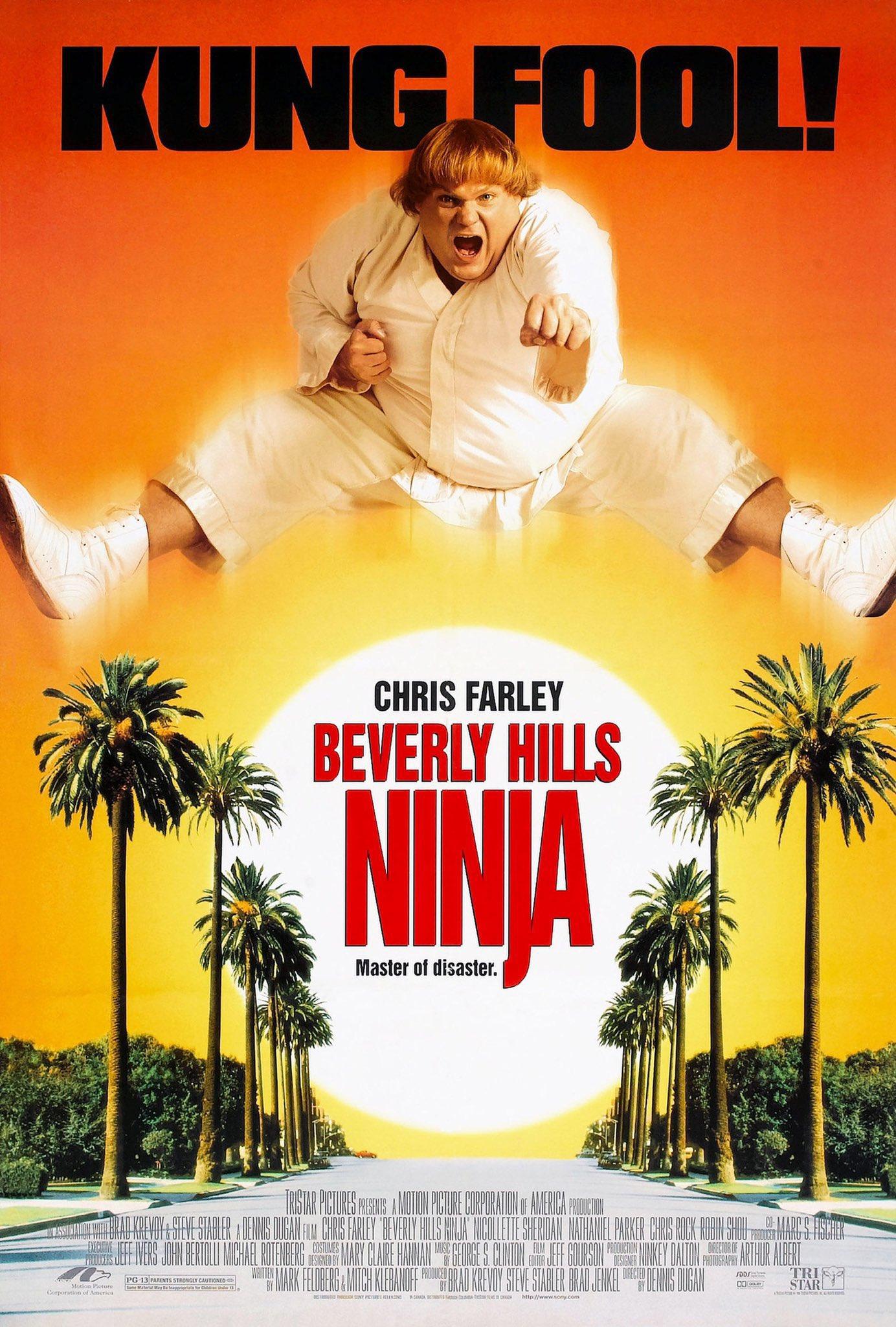 Beverly Hills Ninja (1997) | Watch on Movi47
