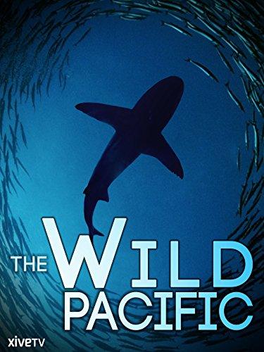 The Wild Pacific - like Turn It Up! but family-friendly