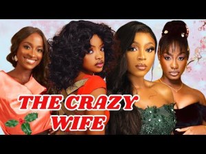 Diary of a Crazy Wife
