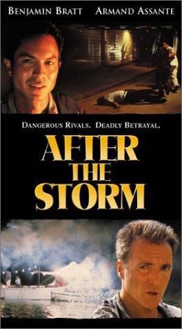 After the Storm (2001) | Watch on Movi47