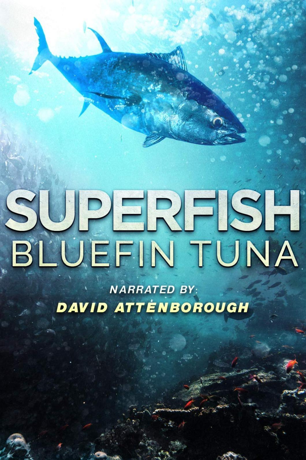 Superfish Bluefin Tuna - like Breaking Boundaries: The Science of Our Planet but older