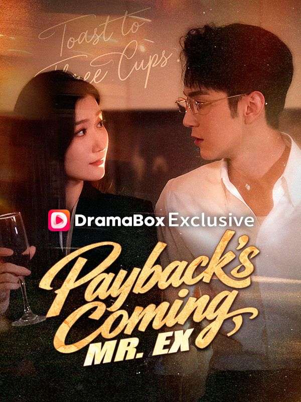 Payback's Coming, Mr. Ex (DUBBED) poster