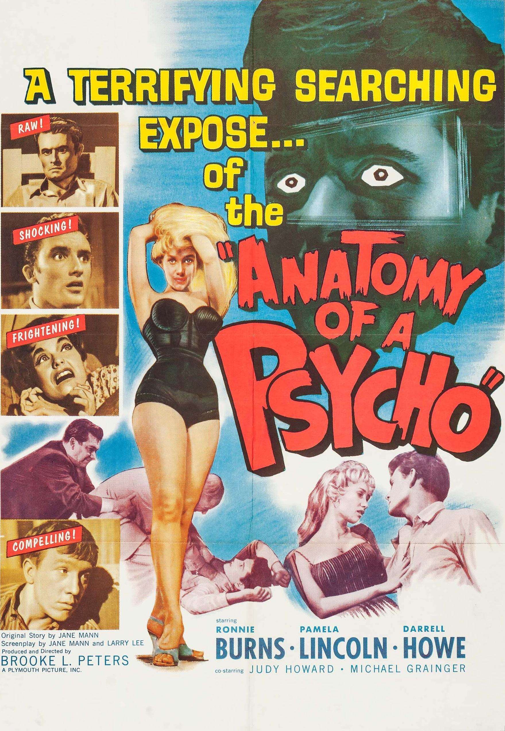 Anatomy of a Psycho poster - similar to Yojimbo