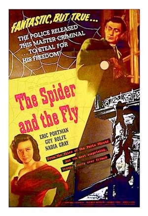 The Spider and the Fly
