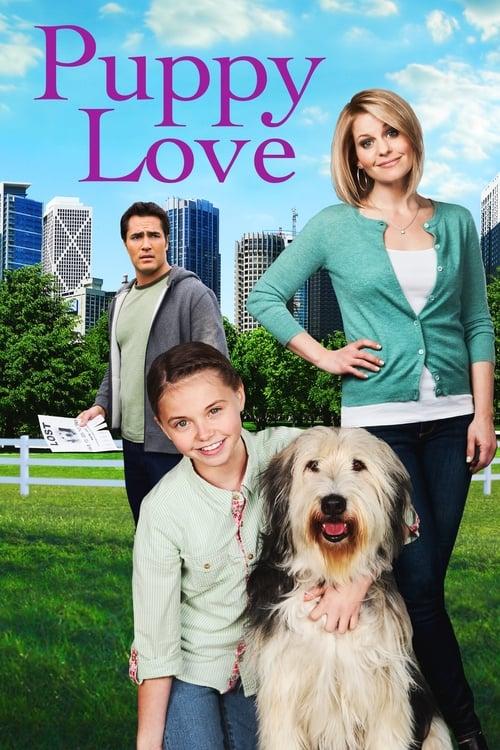 Puppy Love background