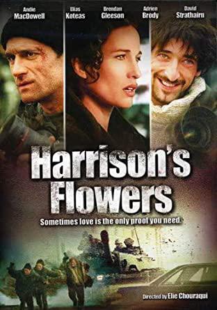 Harrison's Flowers poster - similar to Blame