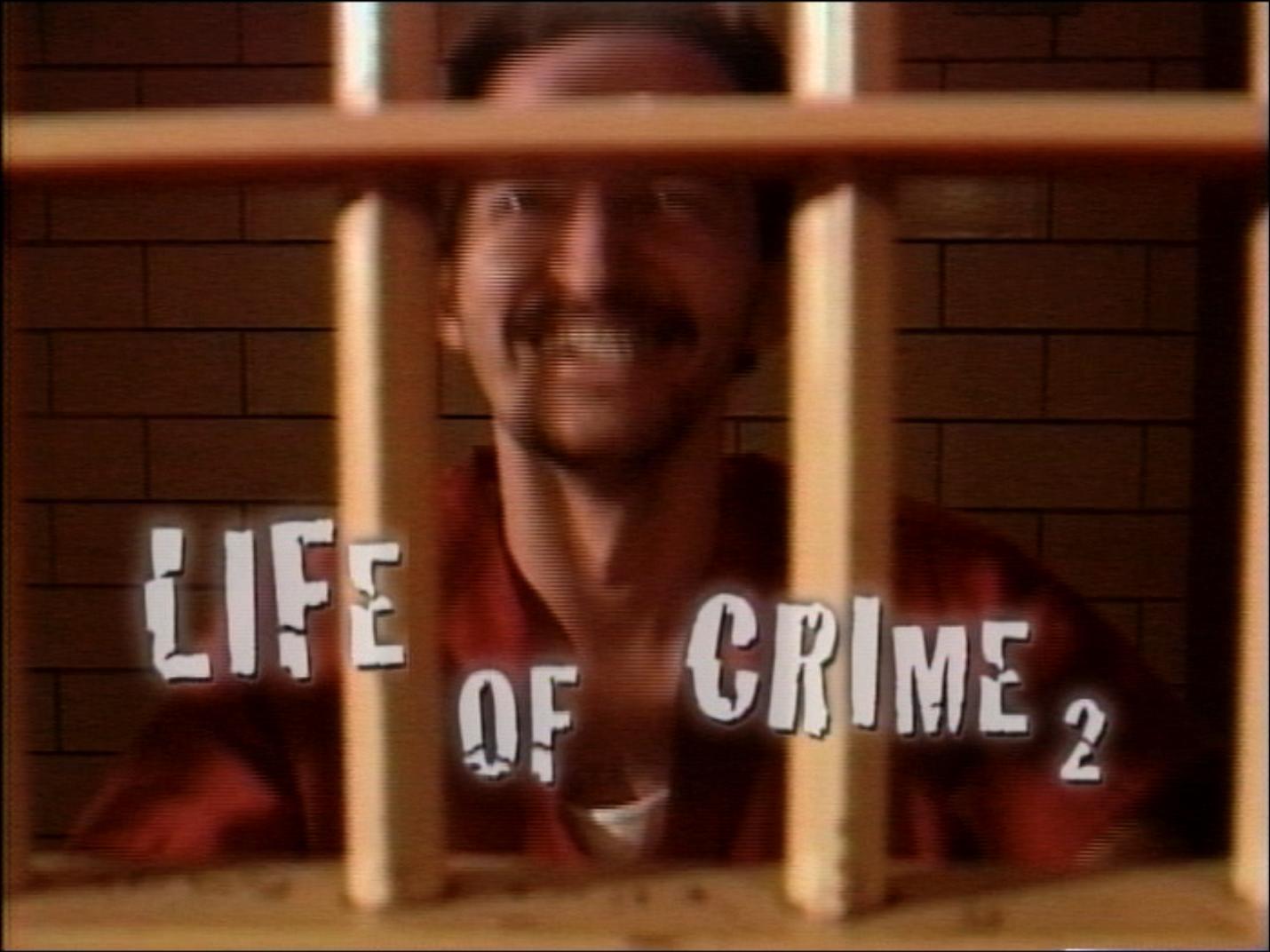 Life of Crime 2 poster