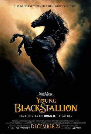 Young Black Stallion - 123Movies