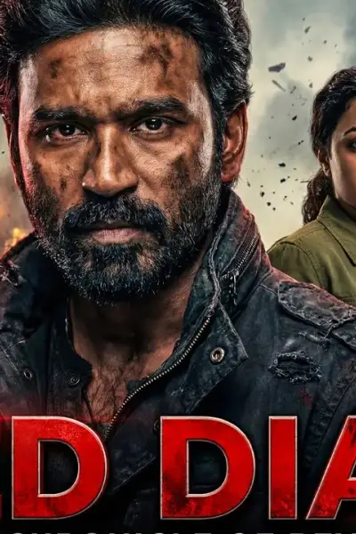red diary poster