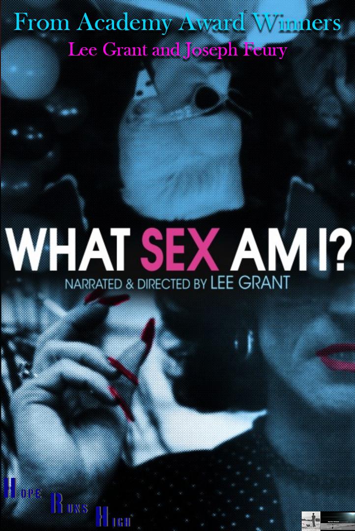 What Sex Am I? poster - similar to Signed: Lino Brocka