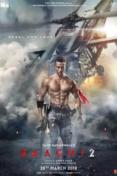 Baaghi 2 [Hindi] poster