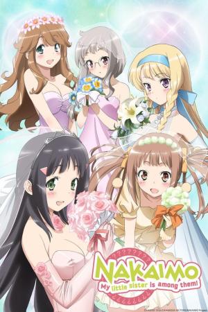 Nakaimo: My Little Sister Is Among Them [English]