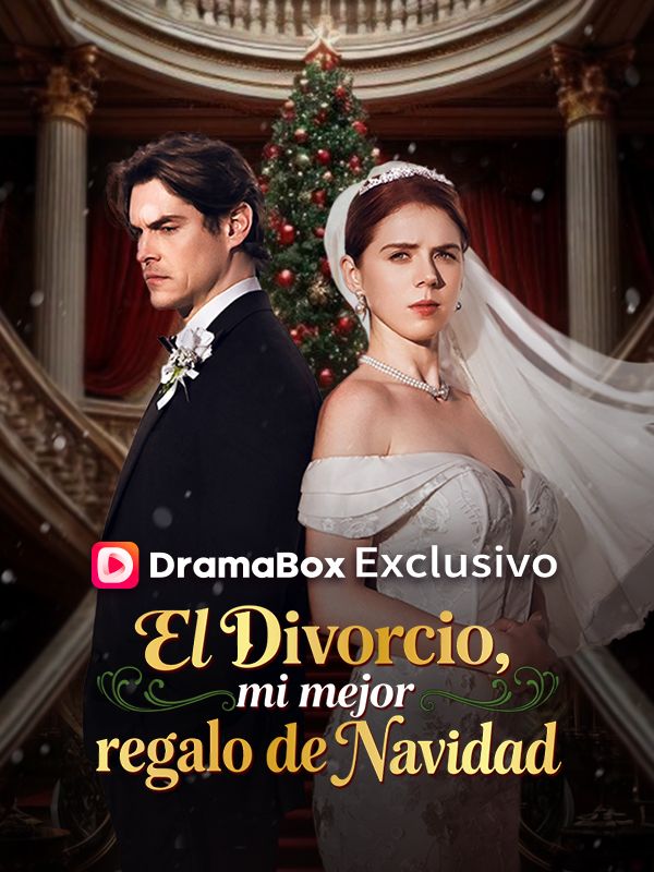 El divorcio, mi mejor regalo de Navidad poster