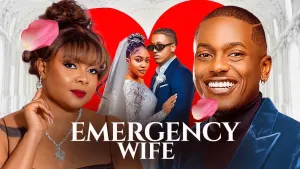 EMERGENCY WIFE