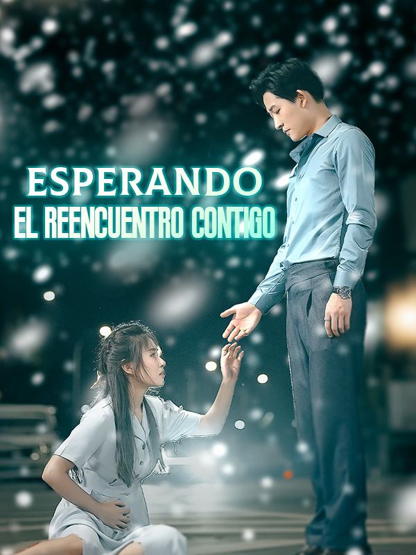 Esperando el reencuentro contigo poster