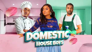 DOMESTIC HOUSE BOYS