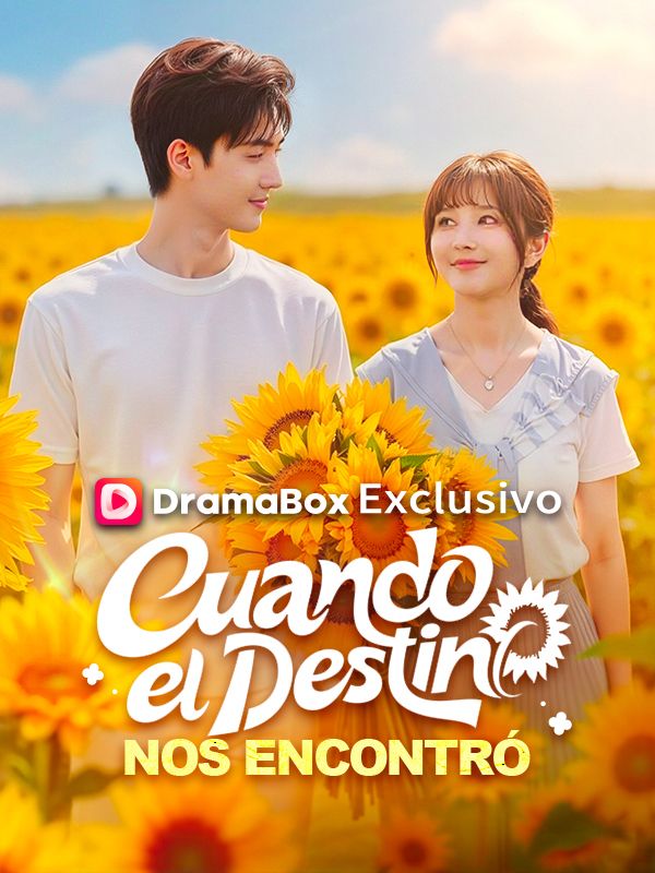 Cuando el destino nos encontró poster
