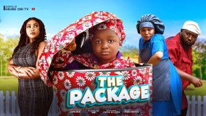 THE PACKAGE