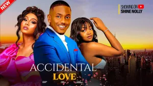 ACCIDENTAL LOVE