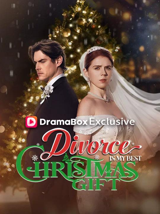 Divorce Is My Best Christmas Gift poster