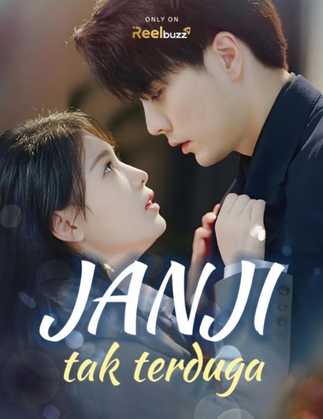 Janji Tak Terduga poster