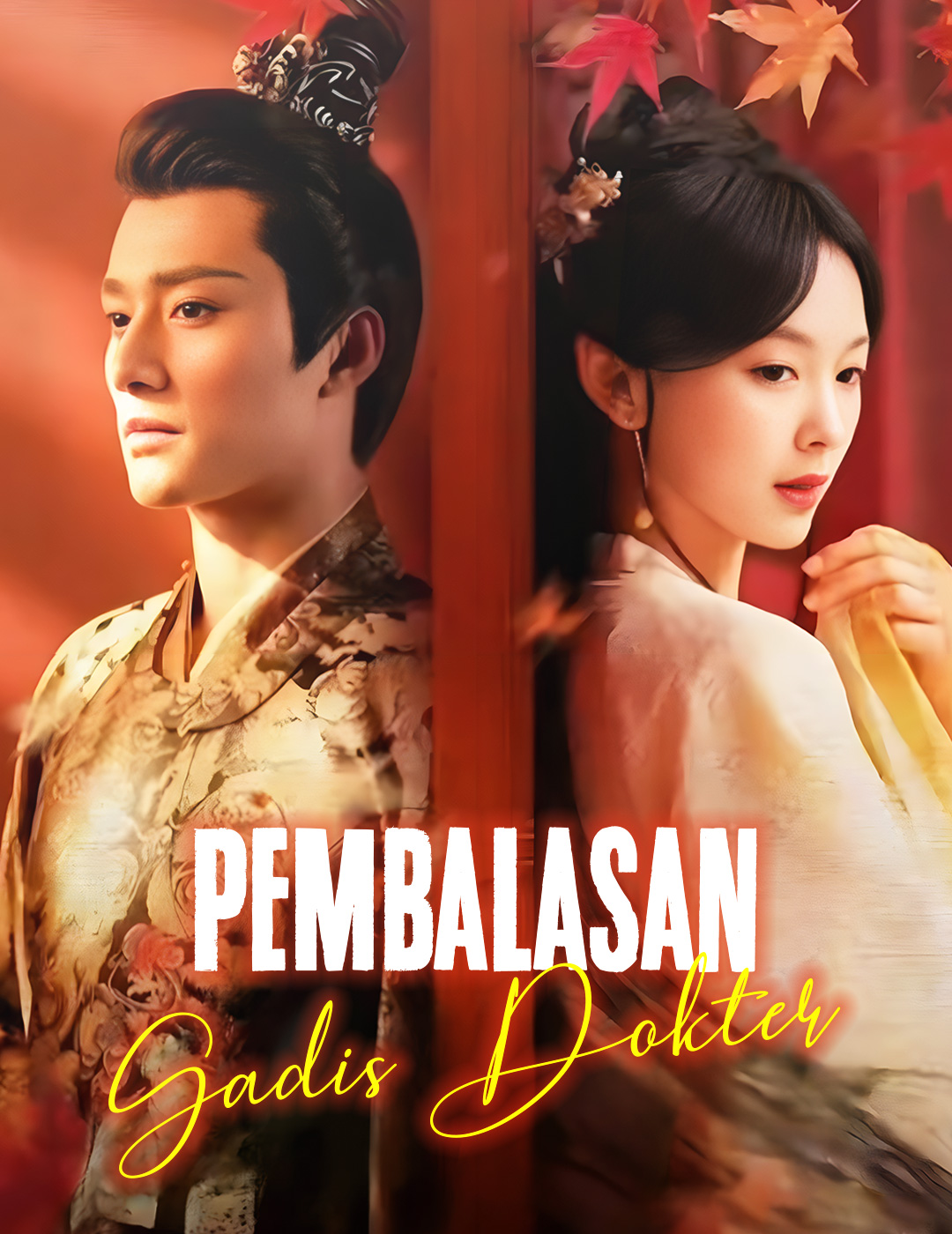 Pembalasan Gadis Dokter poster