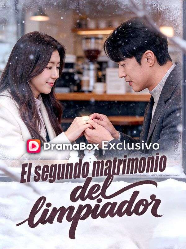 El segundo matrimonio del limpiador poster