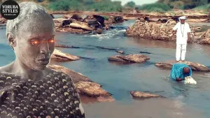 Omi Dudu