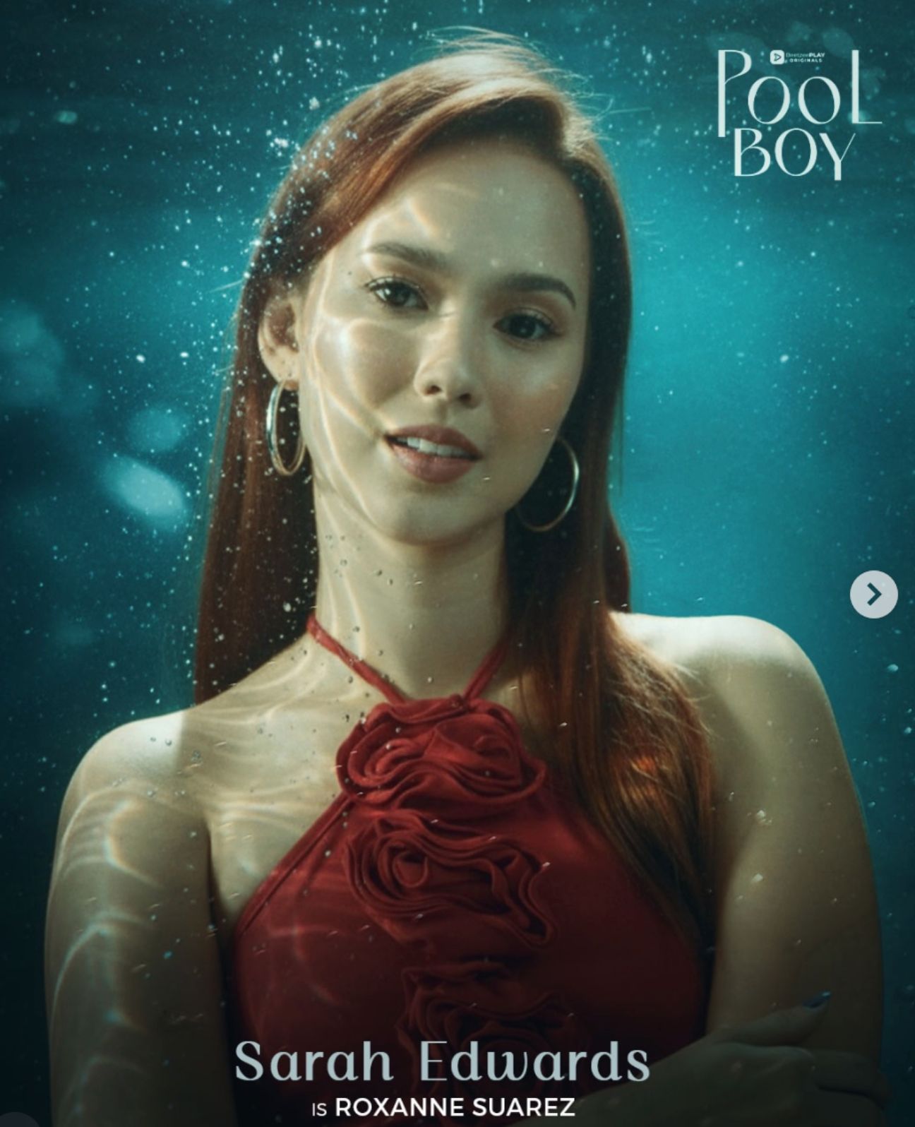 Pool Boy poster