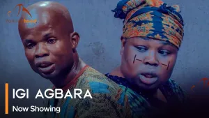 Igi Agbara