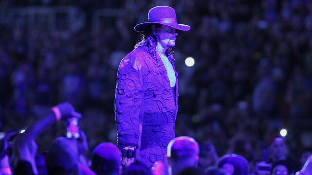 The Undertaker makes perhaps his final WrestleMania entrance: WrestleMania 33 (WWE Network Exclusive) backdrop