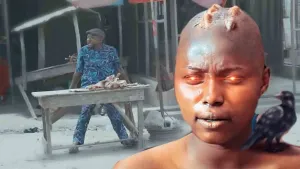 Abami Alapata